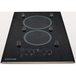 23 Inch Electric Cooktop  - 120V Lite-Touch Q® 2 Burner Large With Pups120V Lite-Touch Q® 2 Burner Large With Pups view