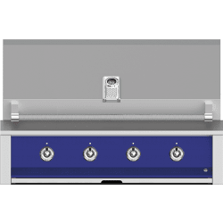 42 Inch Built-In Grill - Prince view