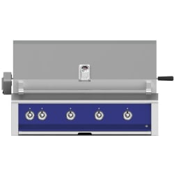 42 Inch Built-In Grill - Prince view