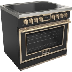 36 Inch Freestanding Induction Range  - Evoque 36-Inch Induction Range view