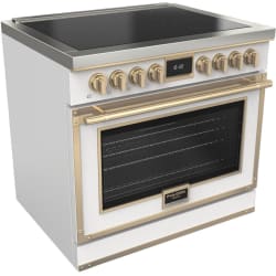 36 Inch Freestanding Induction Range  - Evoque 36-Inch Induction Range view