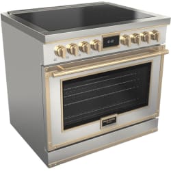 36 Inch Freestanding Induction Range  - Evoque 36-Inch Induction Range view