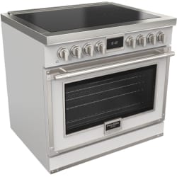 48 Inch Freestanding Induction Range  - Evoque 36-Inch Induction Range view