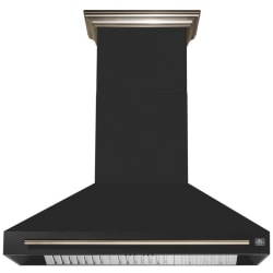 48 Inch Wall Mount Range Hood  - Aria 48 Inch Wall-Mounted Range Hood view