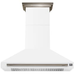 48 Inch Wall Mount Range Hood  - Aria 48 Inch Wall-Mounted Range Hood view