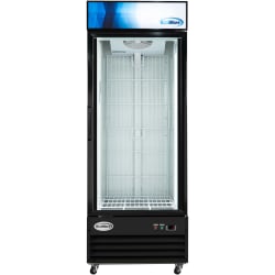 31 Inch Freestanding Commercial Ice Merchandiser Freezer  - 31 Inch Freestanding Commercial Ice Merchandiser Freezer view