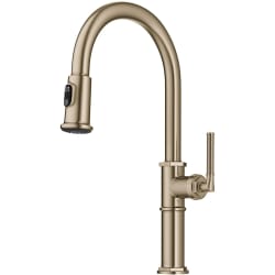 Traditional Industrial Pull-Down Single Handle Kitchen Faucet - Traditional Industrial Pull-Down Single Handle Kitchen Faucet in Brushed Gold view