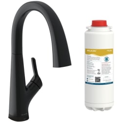 Single Handle 2-in-1 Kitchen Faucet  - Elkay Avado® Single Hole 2-in-1 Kitchen Faucet with Filtered Drinking Water view
