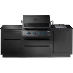 32 Inch Built-In Outdoor Kitchen  - OASIS 300 Outdoor Kitchen Built-in 700 Series 32 Inch Natural Gas, Matte Black view