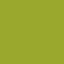 Single Door - Pale Green - front view