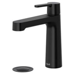 Single Handle Lavatory Faucet  - Nibi™ Single Handle Lavatory Faucet With Top Handle in Black view