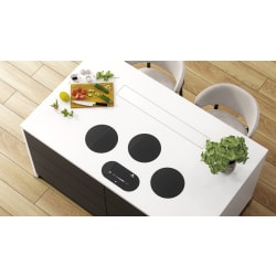 Three Burner Modular Induction Cooktops  - Rainer Induction Burners - 3 Medium Burners view