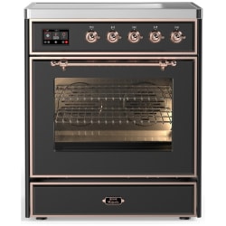 30 Inch Freestanding Induction Range  - 30 Inch Induction Range with 4 Induction Elements view