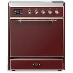 30 Inch Freestanding Induction Range  - 30 Inch Induction Range with 4 Induction Elements view
