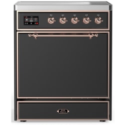 30 Inch Freestanding Induction Range  - 30 Inch Induction Range with 4 Induction Elements view