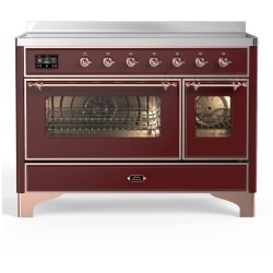 48 Inch Freestanding Induction Range  - 48 Inch Induction Range with 6 Cooking Elements view