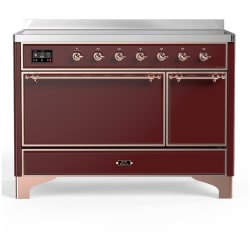 48 Inch Freestanding Induction Solid Door Range  - 48 Inch Induction Range with 6 Elements view