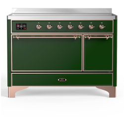 48 Inch Freestanding Induction Solid Door Range  - 48 Inch Induction Range with 6 Elements view