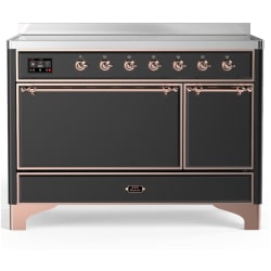 48 Inch Freestanding Induction Solid Door Range  - 48 Inch Induction Range with 6 Elements view