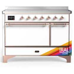 48 Inch Freestanding Induction Solid Door Range  - 48 Inch Induction Range with 6 Elements view