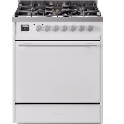 30 Inch Freestanding Dual Fuel Range (Solid Door)  - 30 Inch Freestanding Dual Fuel Range view