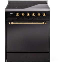 30 Inch Freestanding Induction Range  - 30 Inch Solid Door Freestanding Induction Range in Brass Trim with 4 Elements view