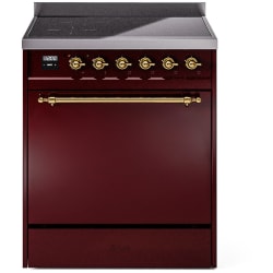 30 Inch Freestanding Induction Range  - 30 Inch Solid Door Freestanding Induction Range in Brass Trim with 4 Elements view