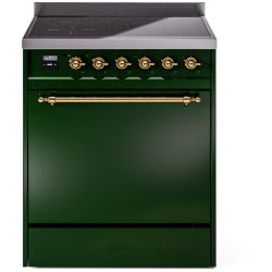 30 Inch Freestanding Induction Range  - 30 Inch Solid Door Freestanding Induction Range in Brass Trim with 4 Elements view