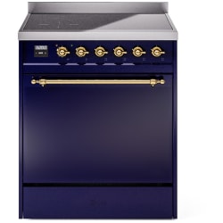30 Inch Freestanding Induction Range  - 30 Inch Solid Door Freestanding Induction Range in Brass Trim with 4 Elements view