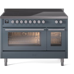 48 Inch Freestanding Induction Range  - 48 Inch Freestanding Induction Range view