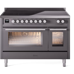 48 Inch Freestanding Induction Range  - 48 Inch Freestanding Induction Range view
