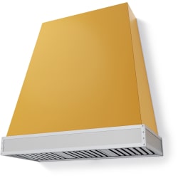 48 Inch Wall Mount Hood  - 48 Inch Wall Mount Hood view