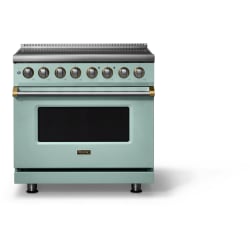 36 Inch Freestanding Induction Range  - 36 Inch Induction Range view