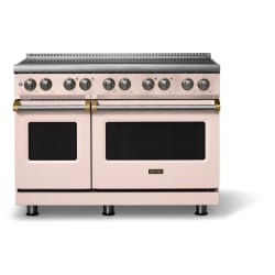48 Inch Freestanding Induction Range  - 48 Inch Induction Range view