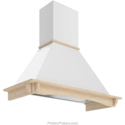 Wall Mount Range Hood  - 48 Inch Castle Wall Mount Range Hood in Angled View view