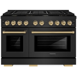48 Inch Pro-Style Double Oven Dual Fuel Range  - ZLINE Autograph Edition 48 in. 6.7 cu. ft. Paramount Double Oven Dual Fuel Range with 8 Burner Gas Cooktop in Black Stainless Steel and Champagne Bronze Accents (SDRBZ-48-CB) front, oven closed. 48 Inch Pro-Style Double Oven Dual Fuel Range view
