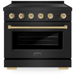 36 Inch Freestanding Paramount Induction Range  - 36 Inch Freestanding Paramount Induction Range view