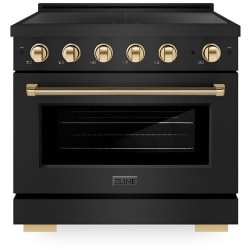 36 Inch Freestanding Paramount Induction Range  - 36 Inch Freestanding Paramount Induction Range view