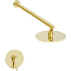 El Dorado Shower Faucet Head - El Dorado Shower Faucet Head view