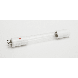 BlueZone Replacement Bulb