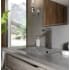 ZLINE Eagle Falls EAGBFGM - Bath Faucet
