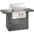 Fire Magic Legacy Collection 11S1S1PA - Feature View