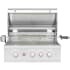 Summerset TRL Pro TRLPRO32L - 32 Inch Built In Liquid Propane Grill