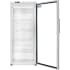 Koolmore KMRIF1GD21CA - 30 Inch Commercial Reach-In Freezer