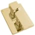 ZLINE BLSSHS12PG - Bliss Shower System