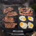 Weber 1500375 - Q 2800N+ Portable Liquid Propane Gas Grill