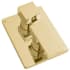 ZLINE BLSSHS16PG - Bliss Rainfall Shower System