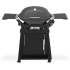 Weber 1500393 - Q 2800N+ Liquid Propane Gas With Stand In Charcoal Grey