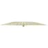 ZLINE BLSH16PG - 16 Inch Bliss Oversize Shower Head