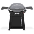 Weber 1500392 - Q 2800N+ Liquid Propane Gas With Stand In Smoke Grey